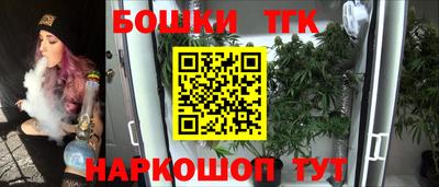 гашик Будённовск