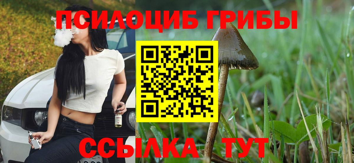 Копейск  Псилоцибиновые грибы мухоморы  хочу   Вход с VPN 